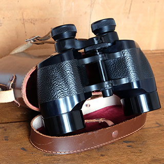 Gadgets & Gizmos: Roof prism binoculars tend are easier to bring with you on your adventures