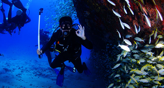 scuba diving gear: Diver Mobility
