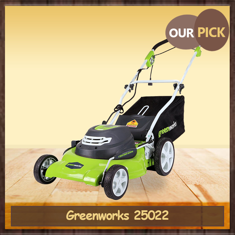 Greenworks 25022