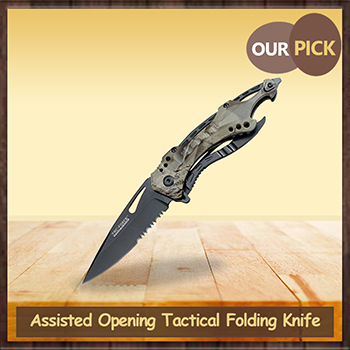 Assisted Opening Tactical Folding Knife