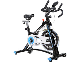 best spin bike for home