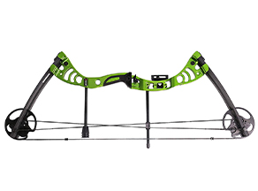 best budget compound bow: Leader Accessories Compound Bow