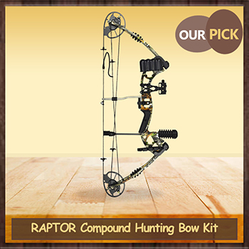 Compound Bow Review
