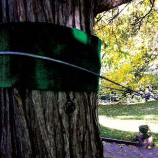 zipline accessories for backyard: 