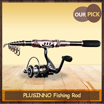 Fishing Pole review