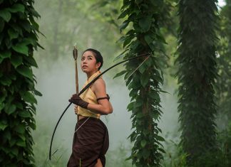 Hunt Like a Pro: Tips for Recurve Bow Hunting Recurve Bow Hunting: Out In The Wild
