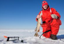 How to Score Fish in Ice with Tip-Ups: Follow These Tips! How to Score Fish in Ice with Tip-Ups: Follow These Tips!