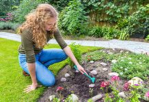 Pro Tips to Keeping a Well-Maintained Lawn All the Year Round! How to Maintain and Manage Your Lawn