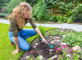 Pro Tips to Keeping a Well-Maintained Lawn All the Year Round! How to Maintain and Manage Your Lawn