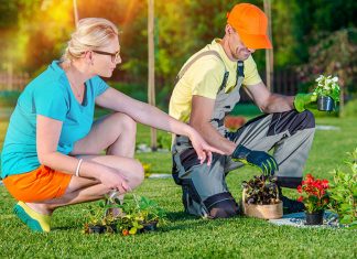DIY Ideas to Create the Lawn of Your Dreams! simple front yard landscaping ideas: Smart Tips To Get A Pitch Perfect Lawn